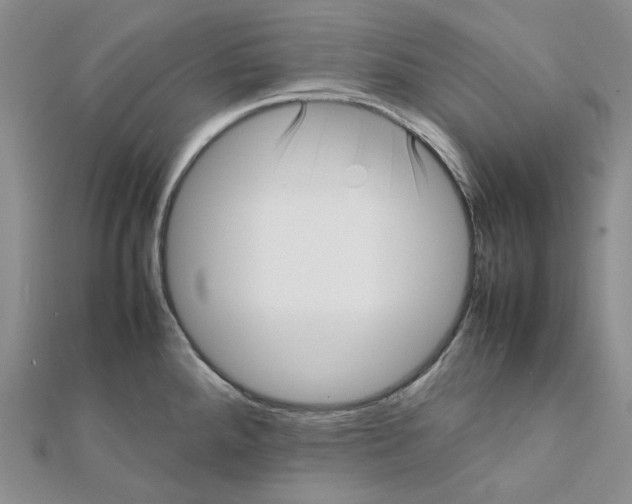 X0000112071288200909011015