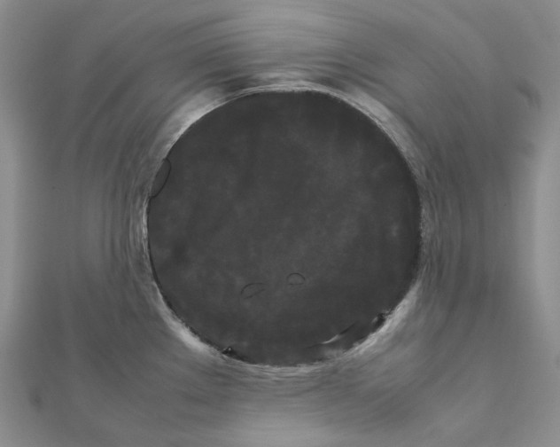 X0000112071289200909011015