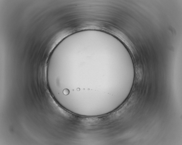 X0000112071290200909011015