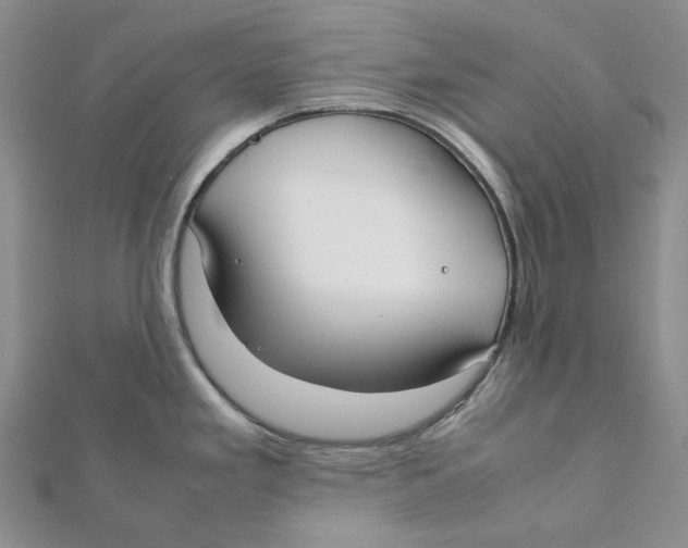 X0000112071293200909011015