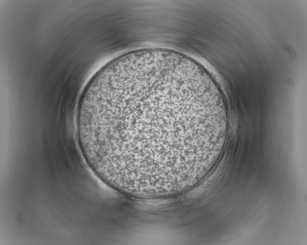 X0000112071294200909011015