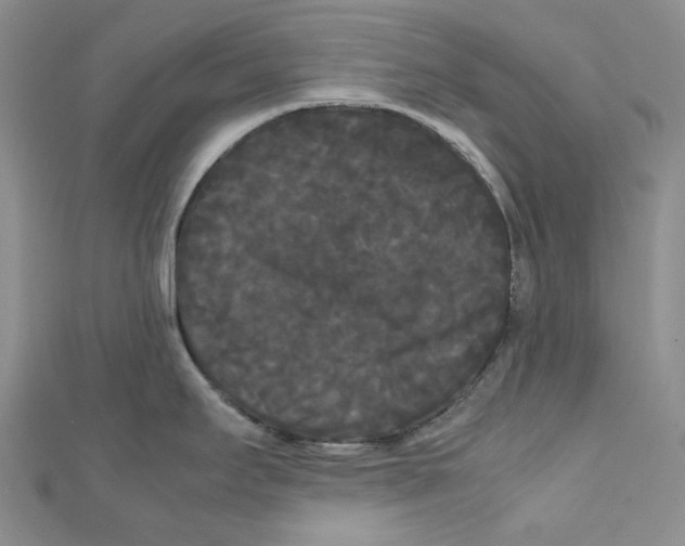 X0000112071295200909011015