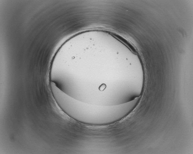 X0000112071296200909011015