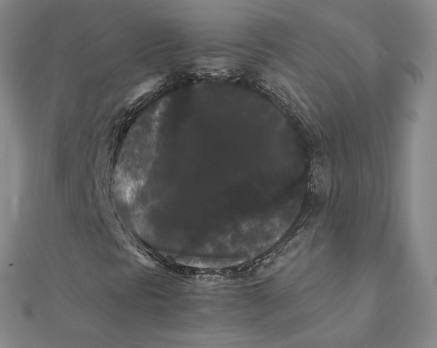 X0000112071297200909011014
