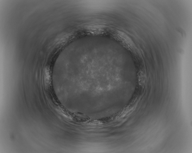 X0000112071298200909011014