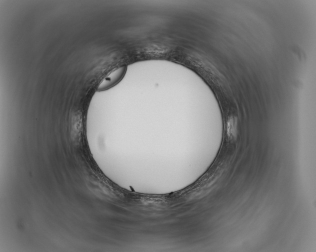 X0000112071299200909011014