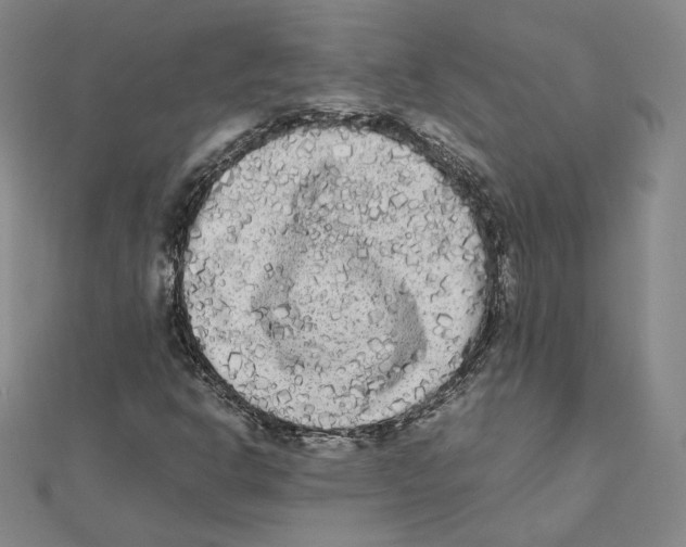 X0000112071302200909011014