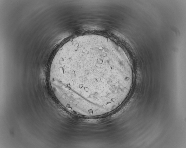 X0000112071305200909011014