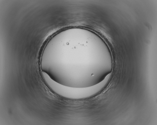 X0000112071308200909011014