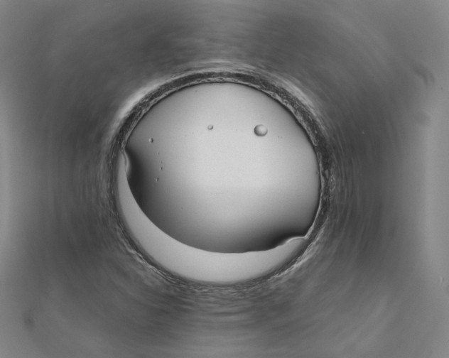 X0000112071310200909011015