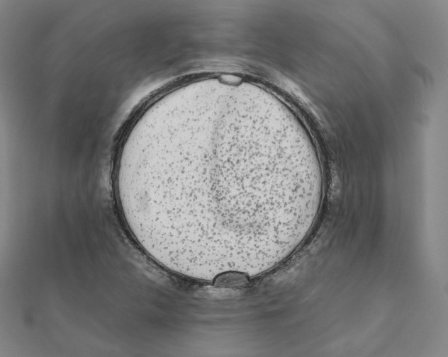X0000112071312200909011015