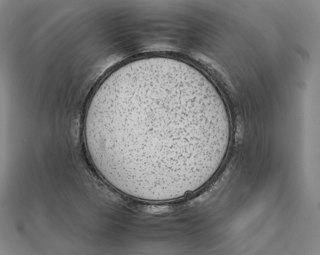 X0000112071313200909011015