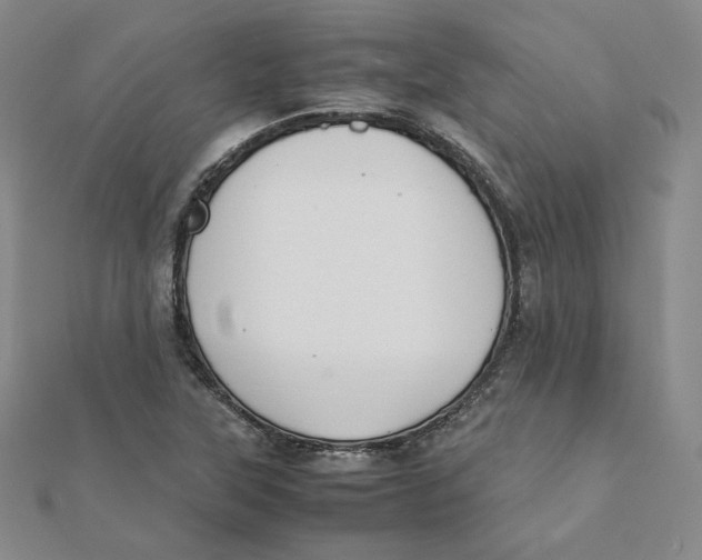 X0000112071315200909011015