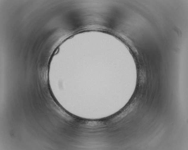 X0000112071322200909011015