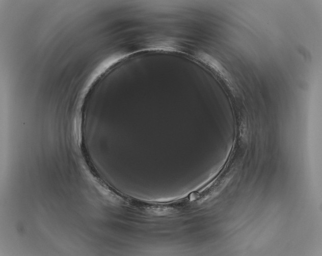 X0000112071323200909011015