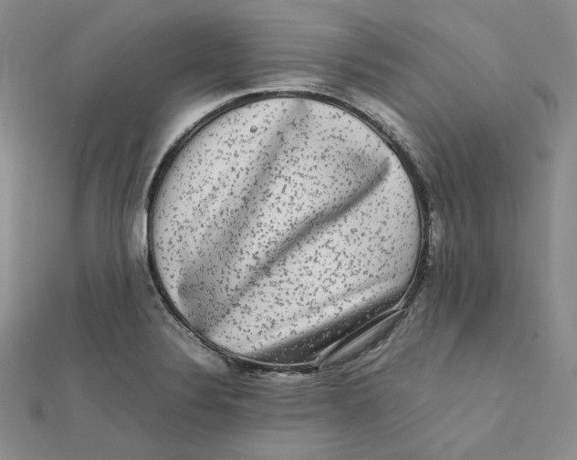 X0000112071324200909011015