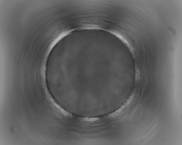 X0000112071325200909011015