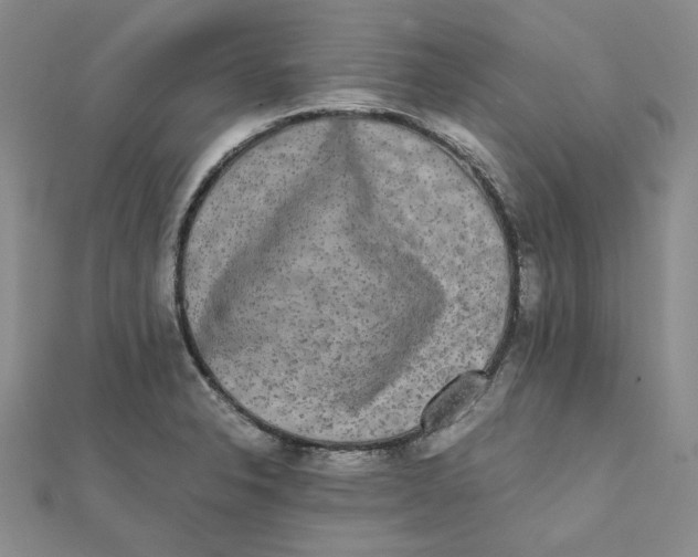 X0000112071326200909011015