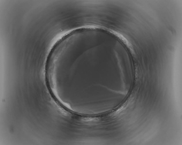 X0000112071327200909011015