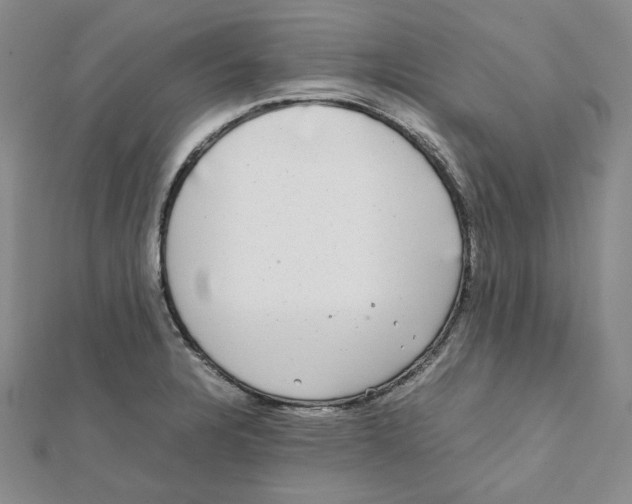 X0000112071328200909011015