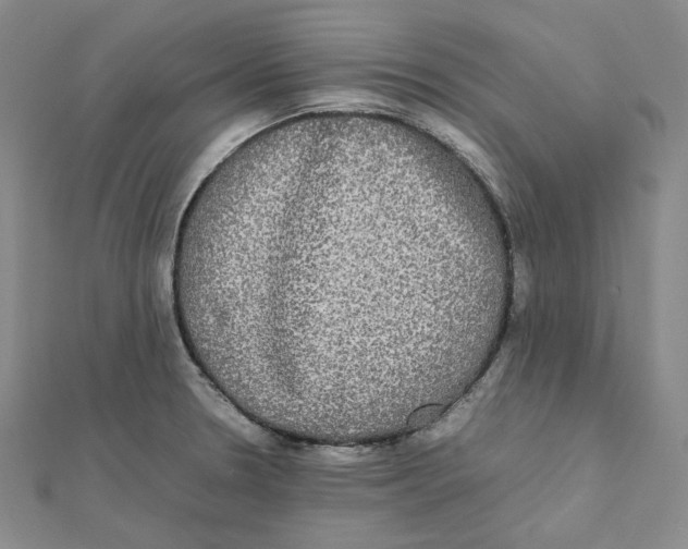 X0000112071330200909011015