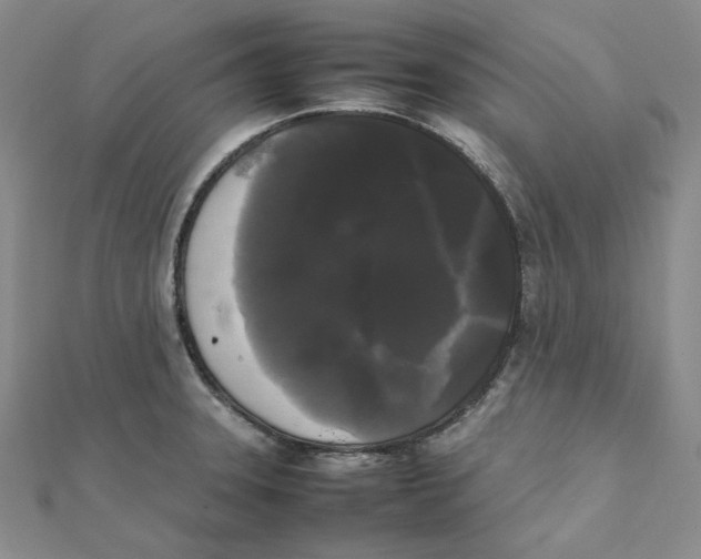 X0000112071331200909011015