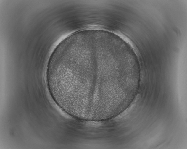 X0000112071333200909011015