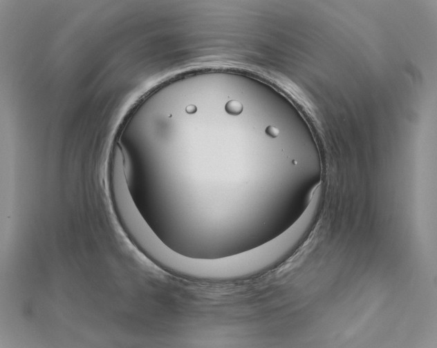 X0000112071334200909011015