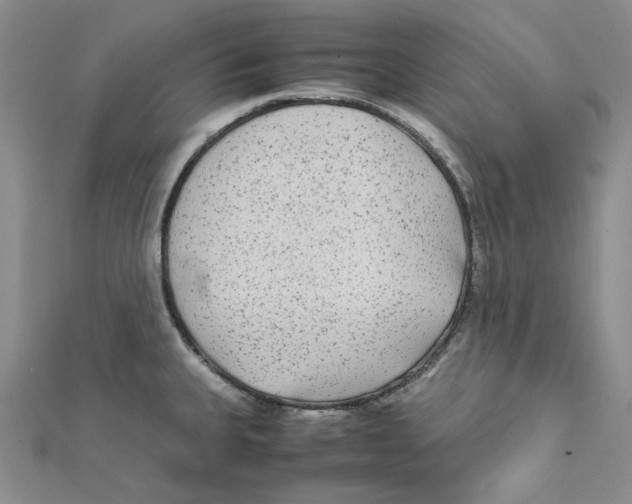 X0000112071335200909011015