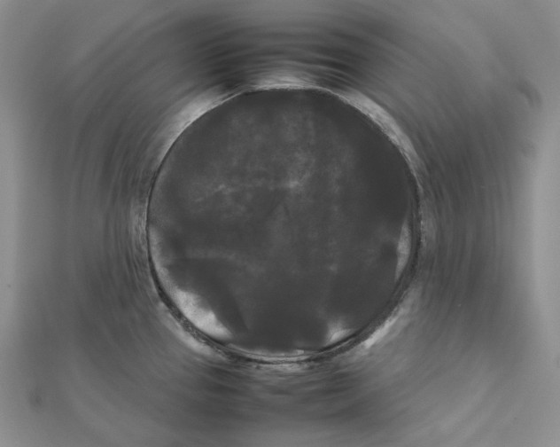 X0000112071337200909011015