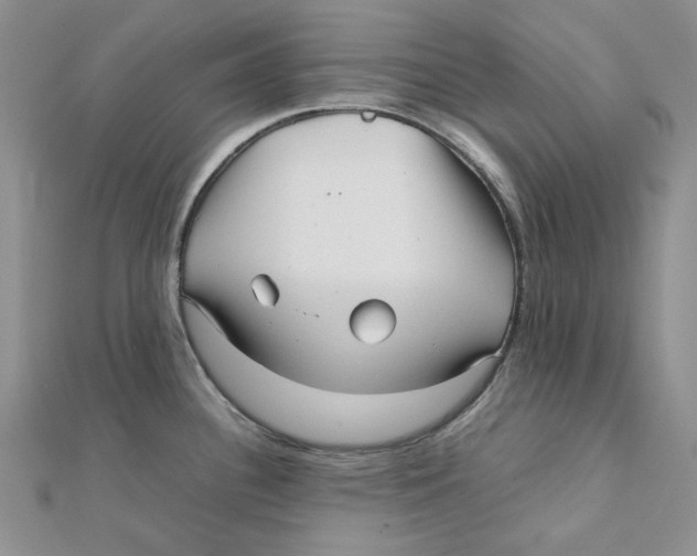 X0000112071340200909011015