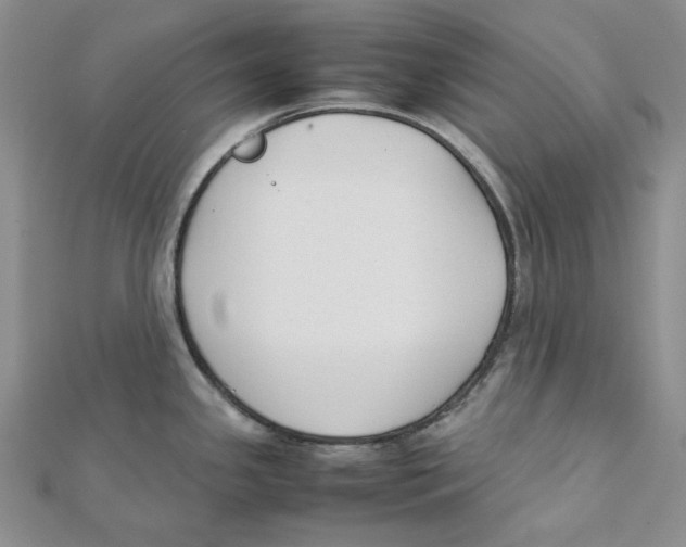 X0000112071341200909011015