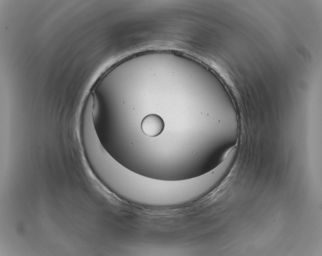X0000112071342200909011015