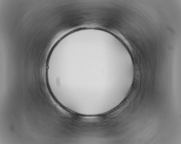 X0000112071343200909011015