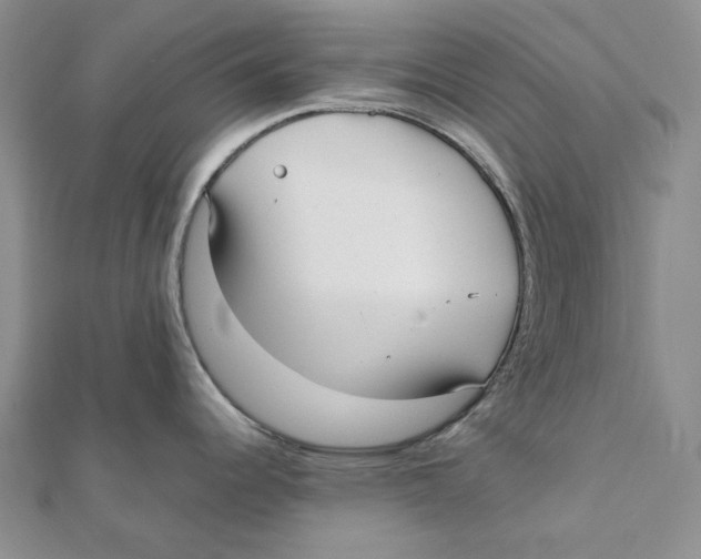 X0000112071344200909011015