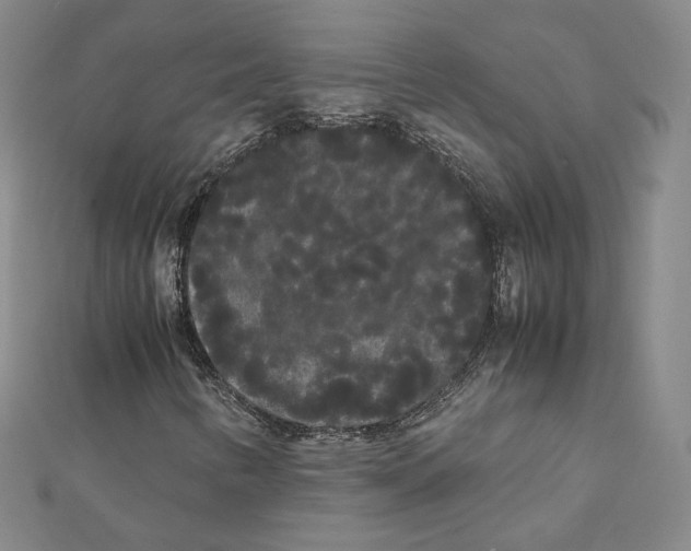 X0000112071346200909011014