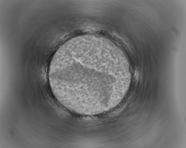 X0000112071348200909011014