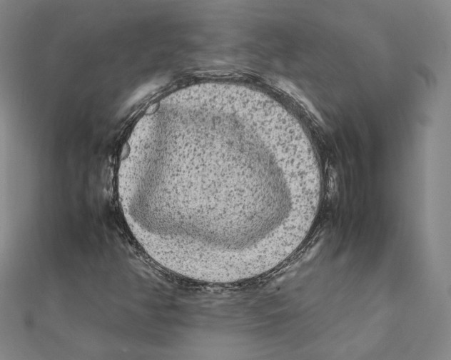 X0000112071350200909011014
