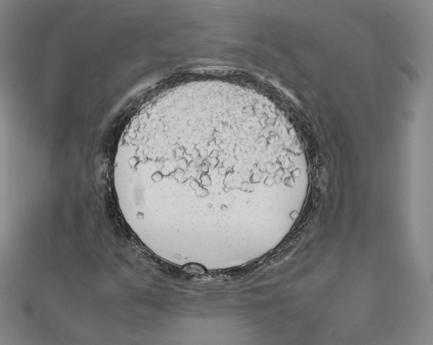 X0000112071351200909011014