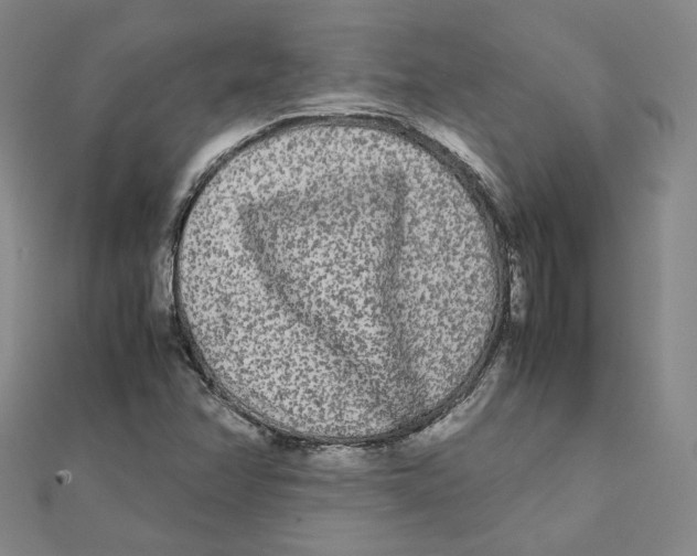 X0000112071358200909011014