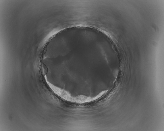 X0000112071359200909011014