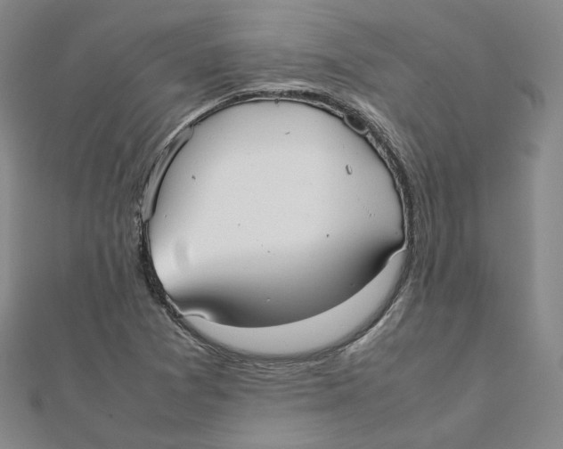 X0000112071361200909011014