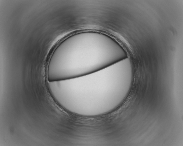 X0000112071364200909011014