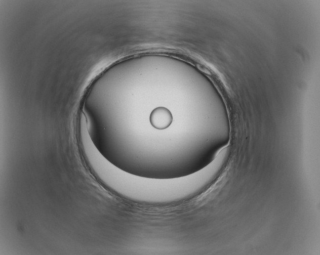 X0000112071365200909011014