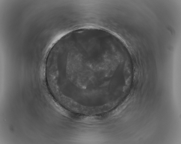 X0000112071367200909011014