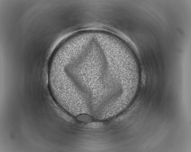 X0000112071368200909011014