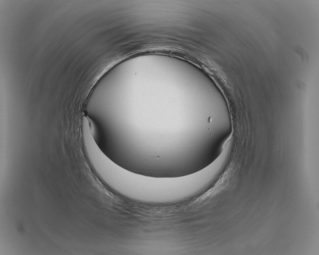 X0000112071369200909011014