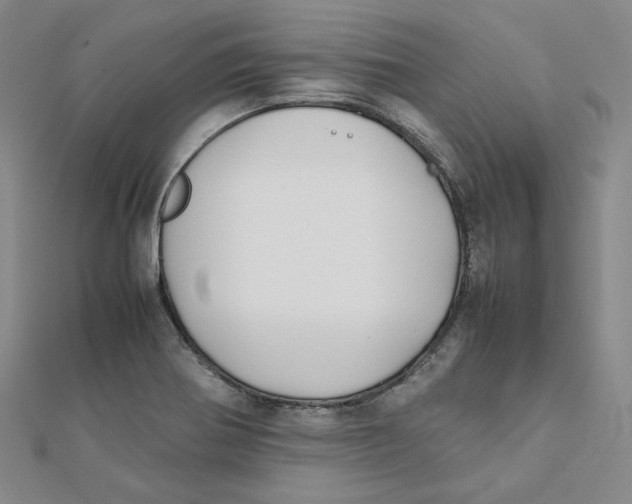 X0000112071370200909011014