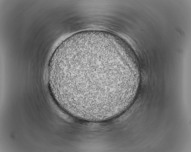 X0000112071371200909011014
