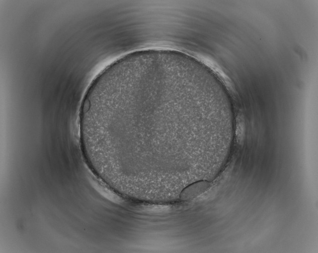 X0000112071372200909011014